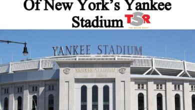 A Drive-in Festival is said to be outside of New York's Yankee Stadium