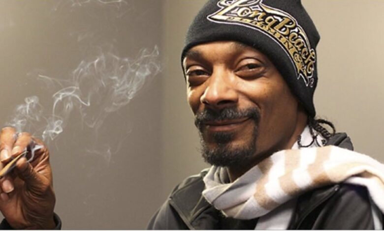 Here Is How Much Snoop Dogg's Weed Roller Makes Per Year