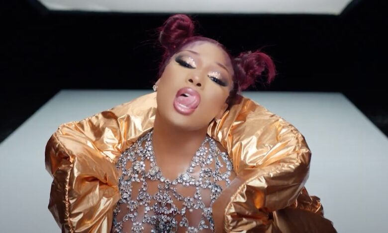 Megan Thee Stallion Hailed By Congresswoman Maxine Waters For 'WAP' track.