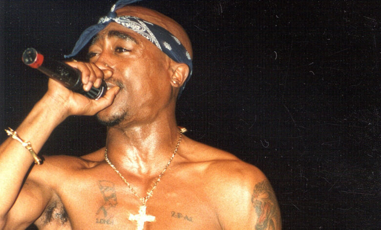 Tupac Would Be Critical Of The Grammys, Brother Says