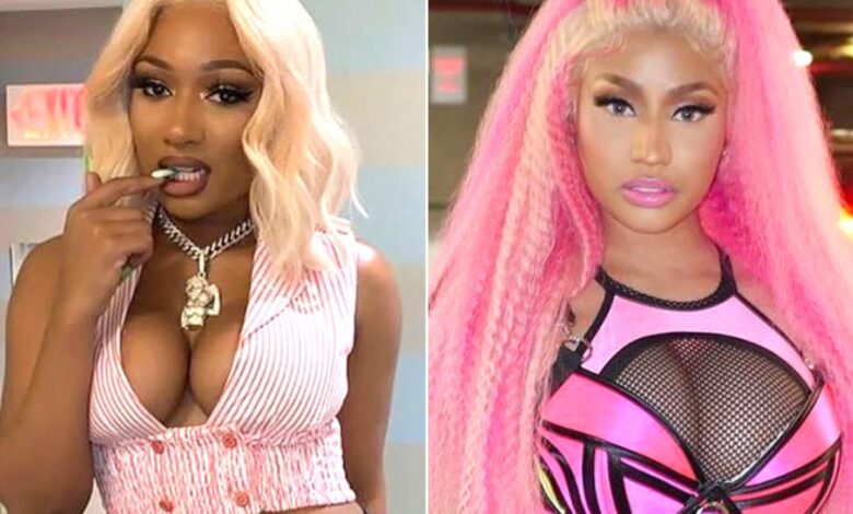 DJ Akademiks Claims Meg Thee Stallion Is "Overrated," Can Never Come Close To Nicki Minaj